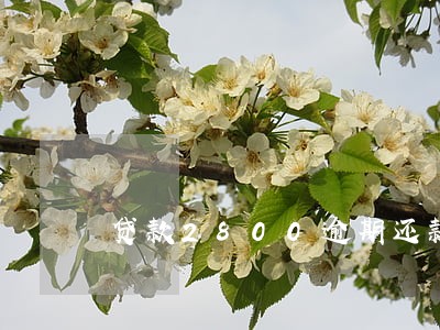 贷款2800逾期还款5天 贷款2800逾期还款5天
