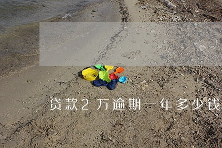 贷款2万逾期一年多少钱 贷款2万逾期一年多少钱