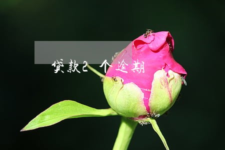 贷款2个逾期 贷款2个逾期