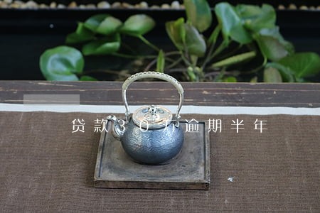 贷款30万逾期半年 贷款30万逾期半年