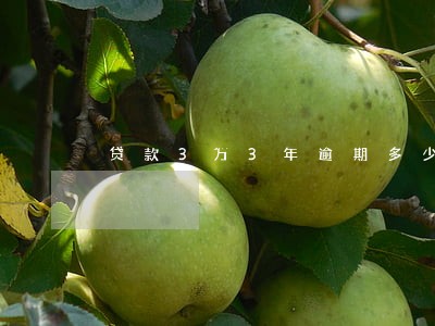 贷款3万3年逾期多少钱 贷款3万3年逾期多少钱