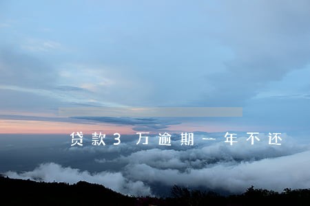 贷款3万逾期一年不还 贷款3万逾期一年不还