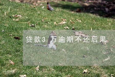 贷款3万逾期不还后果 贷款3万逾期不还后果