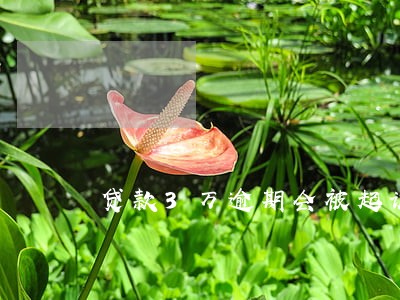 贷款3万逾期会被起诉吗 贷款3万逾期会被起诉吗