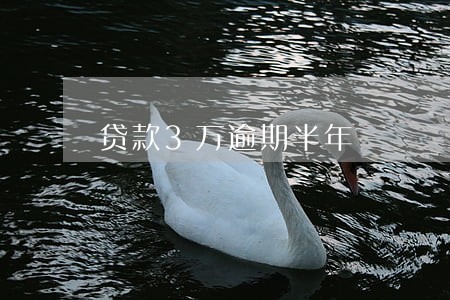 贷款3万逾期半年 贷款3万逾期半年