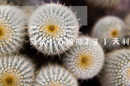 贷款4万逾期231天利息是多少 贷款4万逾期231天利息是多少