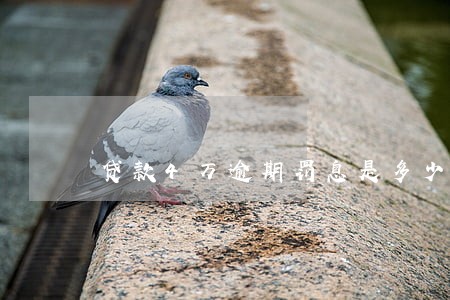 贷款4万逾期罚息是多少 贷款4万逾期罚息是多少
