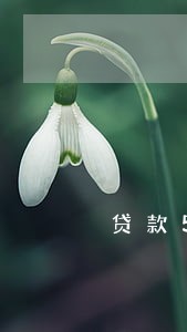 贷款5000网黑有逾期 贷款5000网黑有逾期