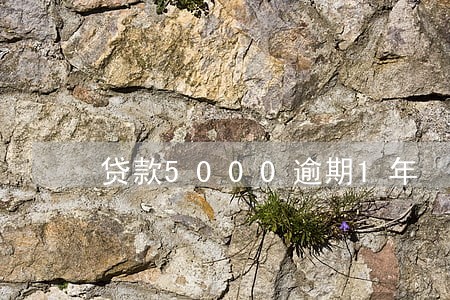 贷款5000逾期1年 贷款5000逾期1年