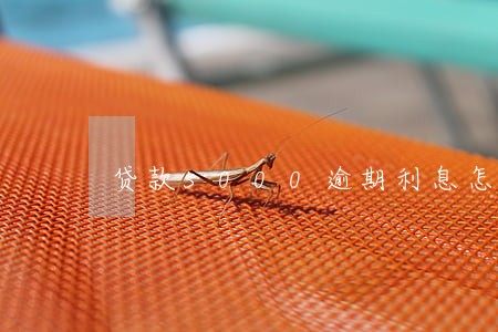 贷款5000逾期利息怎么算 贷款5000逾期利息怎么算