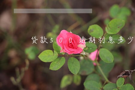 贷款500逾期利息多少 贷款500逾期利息多少