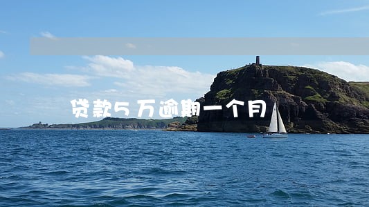 贷款5万逾期一个月 贷款5万逾期一个月