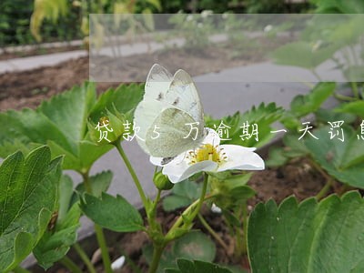 贷款5万逾期一天罚息250 贷款5万逾期一天罚息250