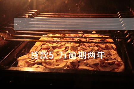 贷款5万逾期两年 贷款5万逾期两年