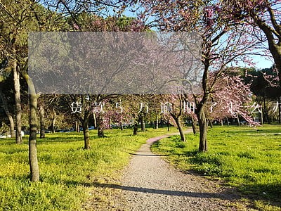 贷款5万逾期了怎么办 贷款5万逾期了怎么办