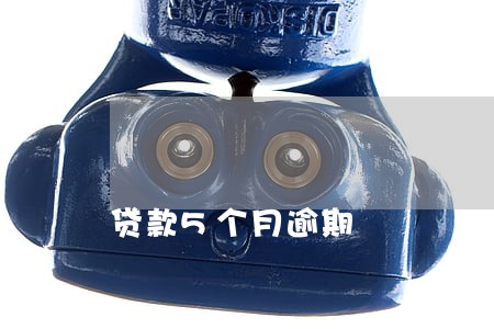 贷款5个月逾期 贷款5个月逾期