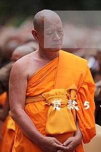贷款5个连续逾期1天怎么办 贷款5个连续逾期1天怎么办