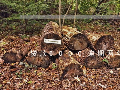 贷款6000逾期两年要还多少 贷款6000逾期两年要还多少