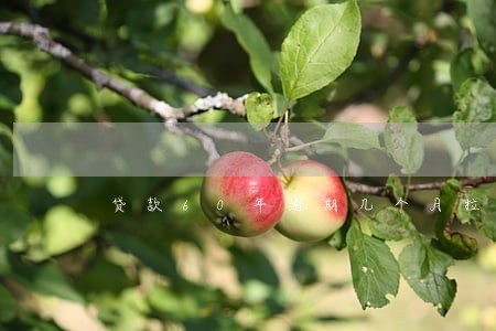 贷款60年逾期几个月拉黑名单 贷款60年逾期几个月拉黑名单