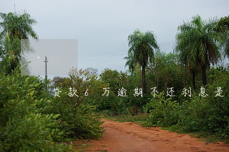 贷款6万逾期不还利息是多少 贷款6万逾期不还利息是多少