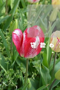 贷款6万逾期半年 贷款6万逾期半年