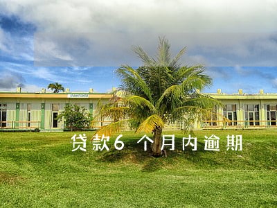 贷款6个月内逾期 贷款6个月内逾期