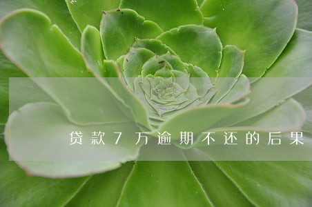 贷款7万逾期不还的后果 贷款7万逾期不还的后果