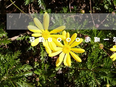 贷款8000逾期一年还款 贷款8000逾期一年还款