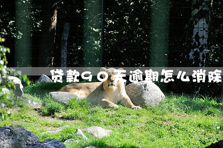 贷款90天逾期怎么消除 贷款90天逾期怎么消除