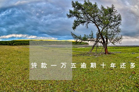 贷款一万五逾期十年还多少钱 贷款一万五逾期十年还多少钱