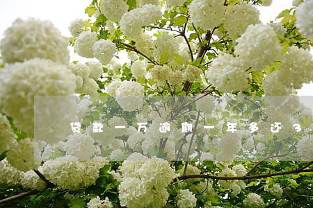 贷款一万逾期一年多还3500 贷款一万逾期一年多还3500