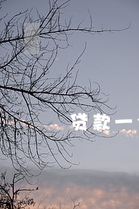 贷款一个月逾期 贷款一个月逾期
