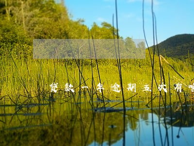 贷款一年逾期五次有啥影响 贷款一年逾期五次有啥影响