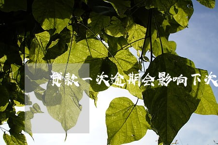 贷款一次逾期会影响下次贷款 贷款一次逾期会影响下次贷款