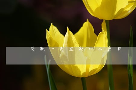贷款一类逾期什么区别 贷款一类逾期什么区别