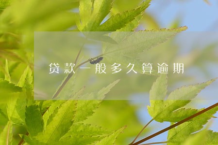 贷款一般多久算逾期 贷款一般多久算逾期