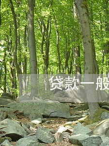 贷款一般逾期多少天催债 贷款一般逾期多少天催债