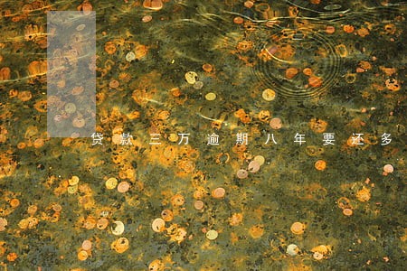 贷款三万逾期八年要还多少 贷款三万逾期八年要还多少