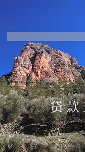贷款三千逾期半年要给多少钱 贷款三千逾期半年要给多少钱