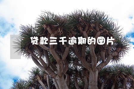 贷款三千逾期的图片 贷款三千逾期的图片