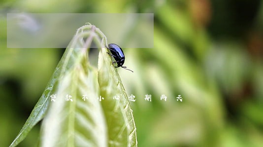 贷款不小心逾期两天 贷款不小心逾期两天