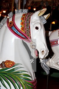 贷款不是恶意逾期模板