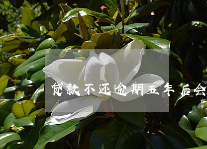 贷款不还逾期五年后会消除吗 贷款不还逾期五年后会消除吗