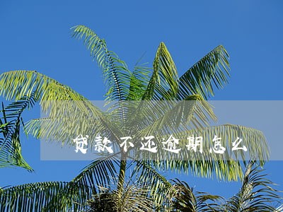 贷款不还逾期怎么 贷款不还逾期怎么