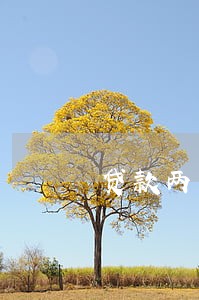 贷款两万逾期十年后 贷款两万逾期十年后