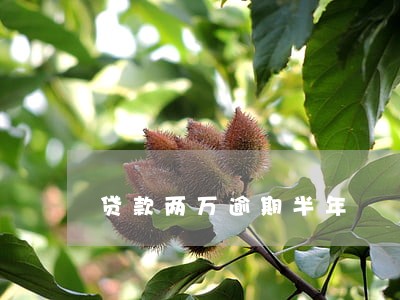 贷款两万逾期半年 贷款两万逾期半年