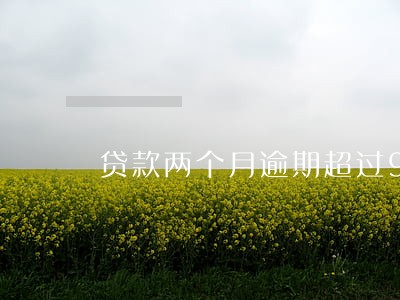 贷款两个月逾期超过90天 贷款两个月逾期超过90天