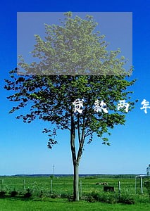 贷款两年内没有逾期 贷款两年内没有逾期