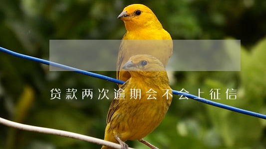 贷款两次逾期会不会上征信 贷款两次逾期会不会上征信