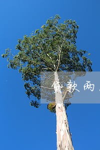 贷款两次逾期有什么影响 贷款两次逾期有什么影响
